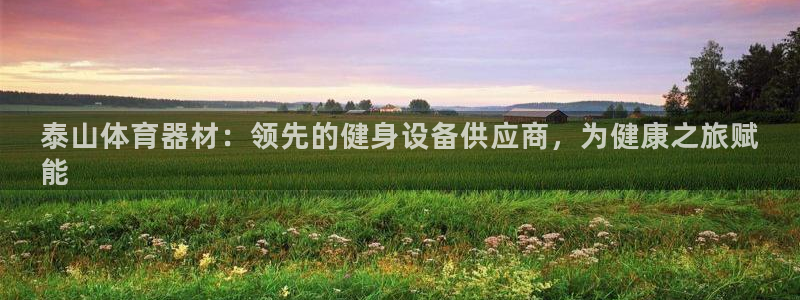 富联娱乐测速登录不了：泰山体育器材：领先的健身设备供