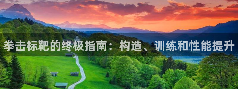 富联官网登录入口网址：拳击标靶的终极指南：构造、训练