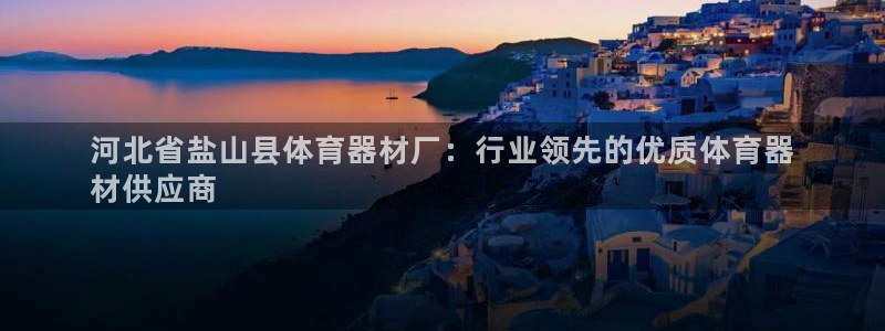 富联娱乐总代理：河北省盐山县体育器材厂：行业领先的优