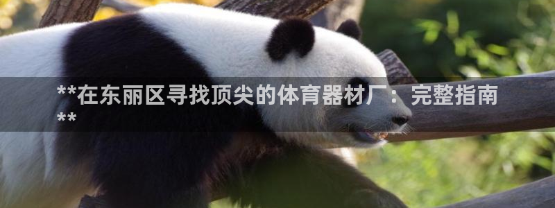 富联平台总代理是谁：**在东丽区寻找顶尖的体育器材厂