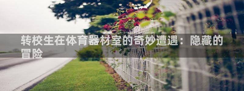富联娱乐客服微信号是多少：转校生在体育器材室的奇妙遭