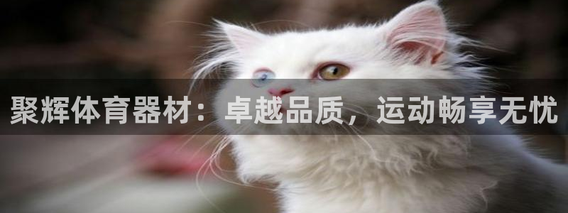 富联官网乙6.7.5.1.3.8：聚辉体育器材：卓越