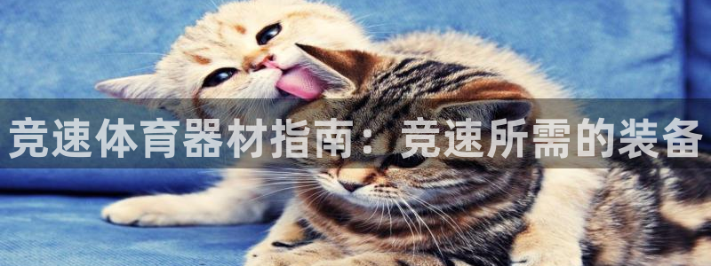 富联平台线路检测中心官网：竞速体育器材指南：竞速所需