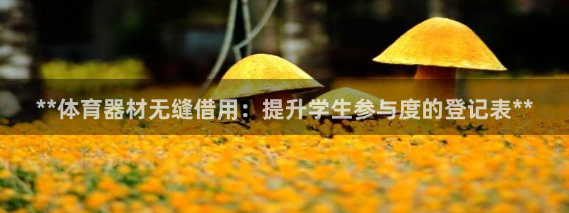 富联商城官网：**体育器材无缝借用：提升学生参与度的