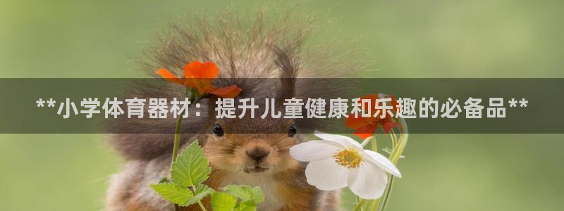 富联平台马 411O31 富联：**小学体育器材：提