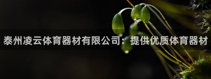 富联平台开户流程：泰州凌云体育器材有限公司：提供优质