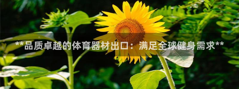 富联娱乐是什么时候开的股票：**品质卓越的体育器材出