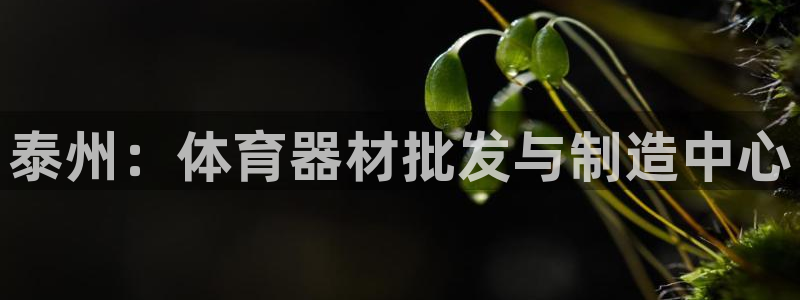 富联娱乐会员账号怎么注销：泰州：体育器材批发与制造中