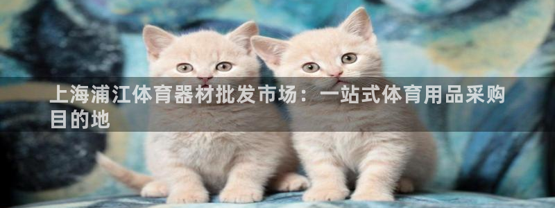 富联平台线路检测中心：上海浦江体育器材批发市场：一站