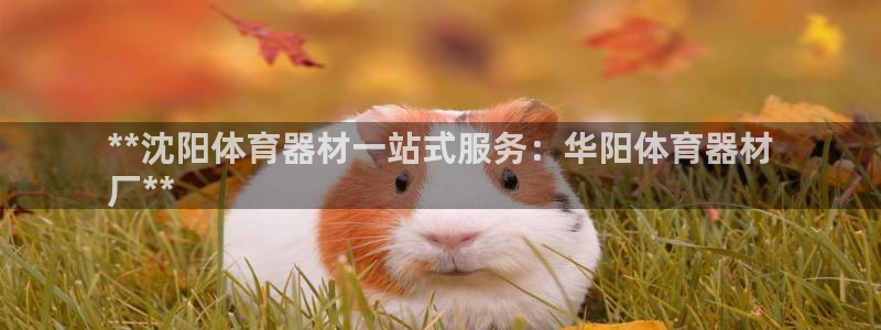 富联平台招商：**沈阳体育器材一站式服务：华阳体育器