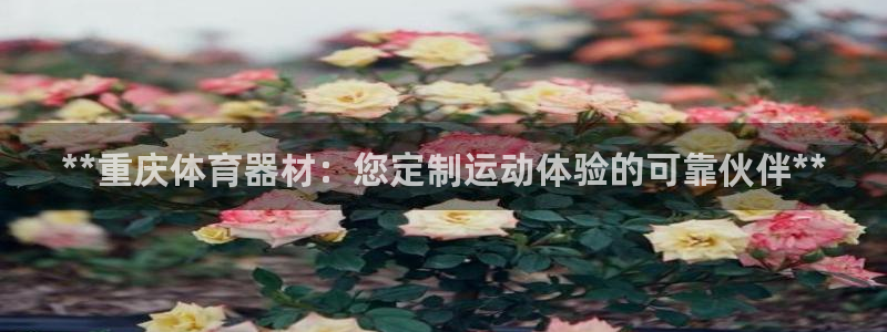 富联物业：**重庆体育器材：您定制运动体验的可靠伙伴