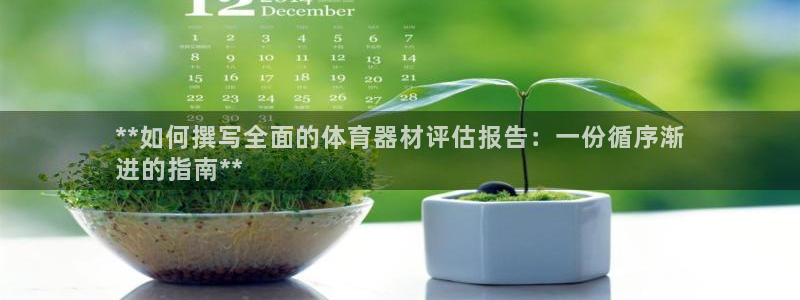 富联是什么意思：**如何撰写全面的体育器材评估报告：
