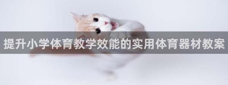 富联娱乐正规吗安全吗：提升小学体育教学效能的实用体育