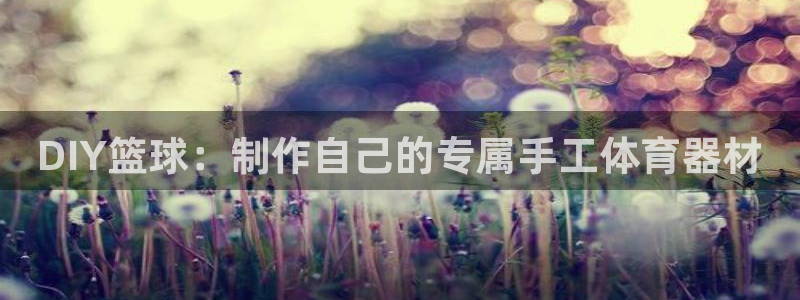 富联娱乐平台开户条件是什么：DIY篮球：制作自己的专