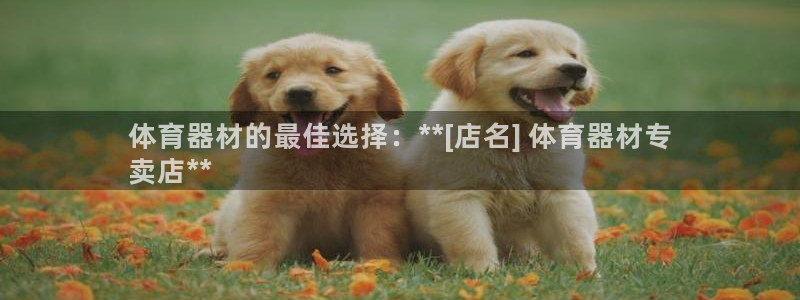 富联小区：体育器材的最佳选择：**[店名] 体育器材