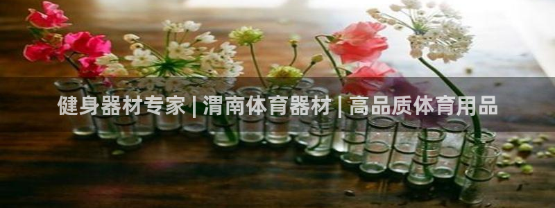 富联官方网站入口网址是什么：健身器材专家 | 渭南体