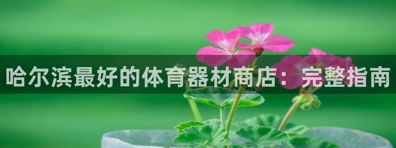 富联官方网站首页入口：哈尔滨最好的体育器材商店：完整