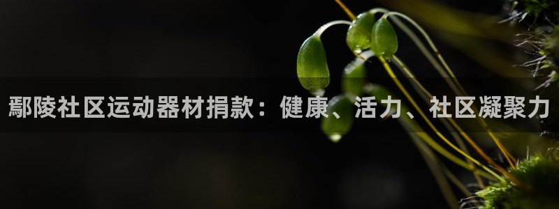 富联平台马 411O31 富联：鄢陵社区运动器材捐款